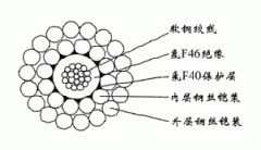 FL-WGSF46-8.00mm防硫型絕緣護套雙鋼絲鎧裝承荷探測電纜