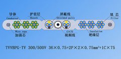 扁平絞合型排列帶屏蔽、鋼芯和視頻線電梯電纜