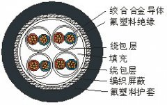 熱電偶專(zhuān)用高溫測(cè)量電纜線AKFFPXR200,ANFFPXR200